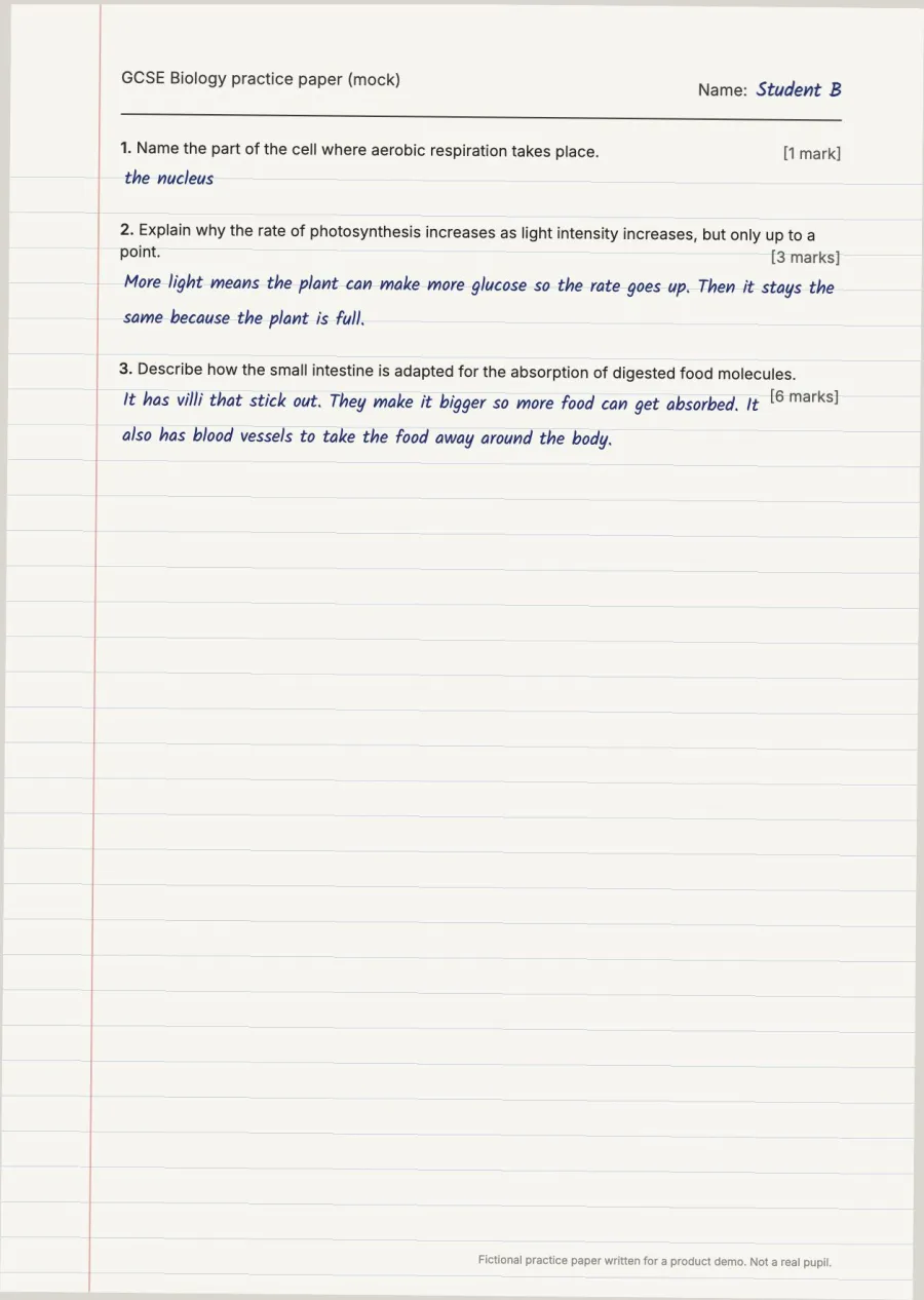 Student B, fictional mock paper